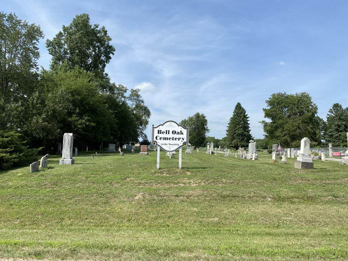 Bell Oak - July 2020 Photo Of Bell Oak (newer photo)